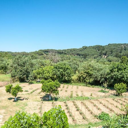 Vassilis Paradise Garden Aparthotel Агиос-Георгиос-Пагон Экстерьер фото